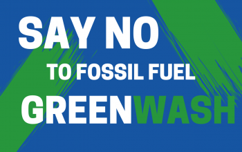 say no greenwash